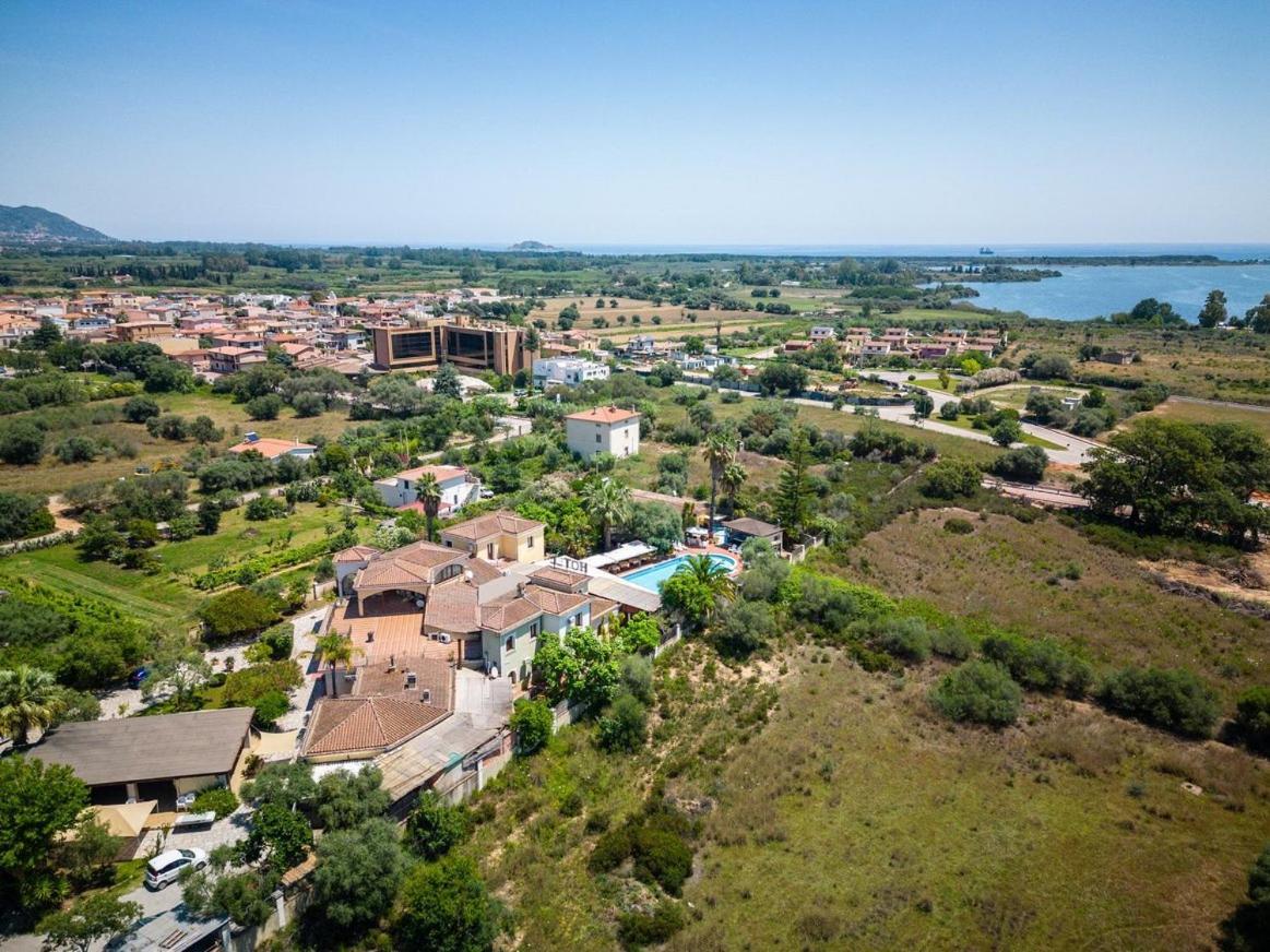 L'ulivo